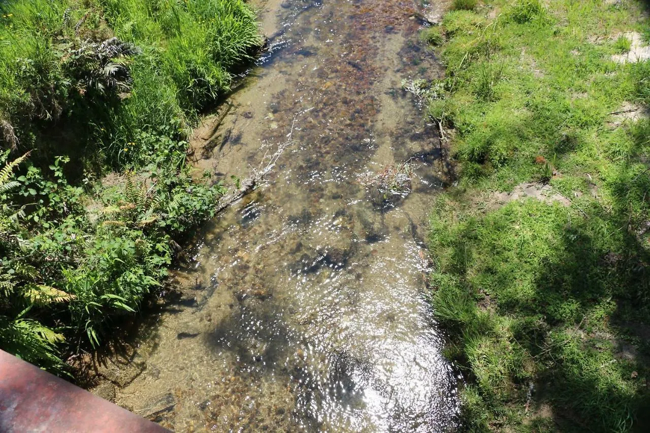 Unwind In Paradise Valley Trout At Your Door Rotorua New Zealand
